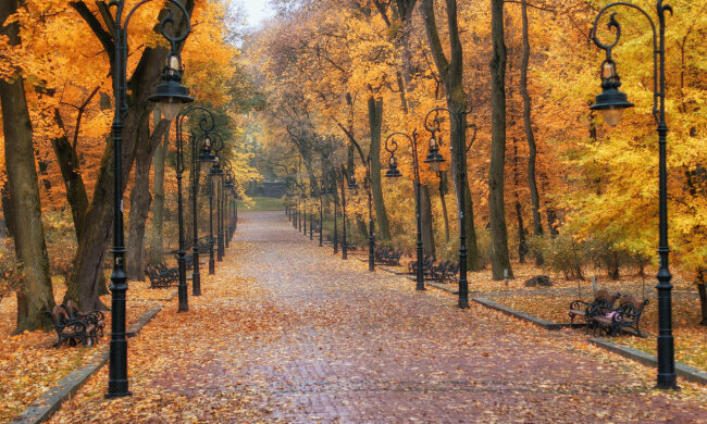 Львів, парк, декоративне фото