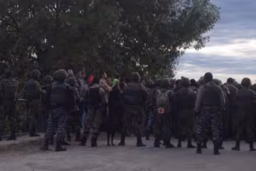 Сотню копателей янтаря задержали за стрельбу на Волыни (фото)