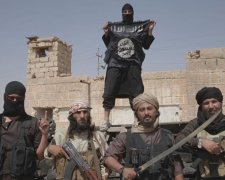 Чому у ІДІЛ закінчилися кошенята