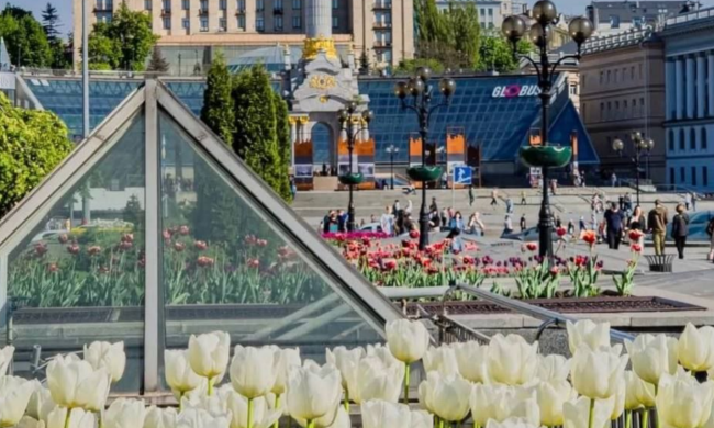 Українці, Київ, квіти, фото із соцмереж