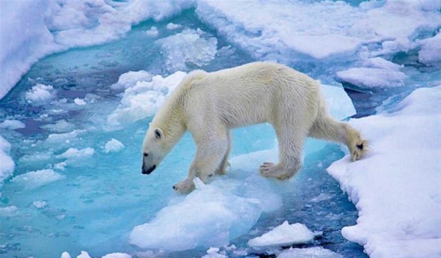 Глобальне потепління: дослідники планують штучно заморозити Арктику