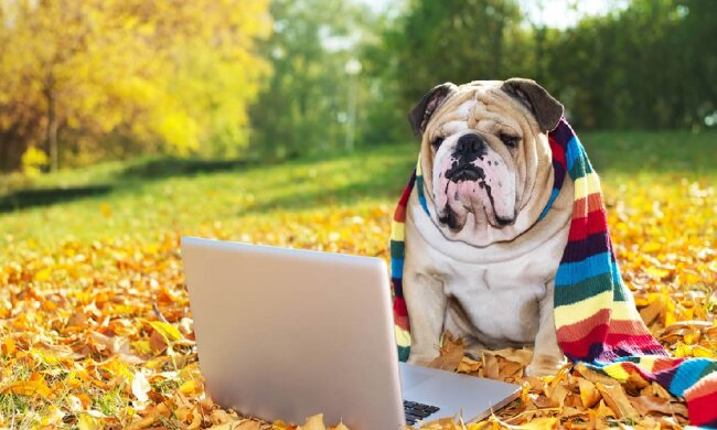 Погода на 24 вересня: осінь дасть українцям прочухана