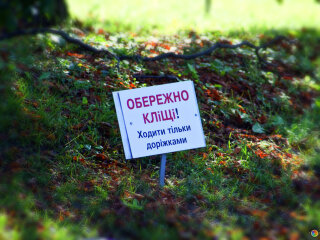 Небезпечні кліщі