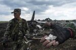 Фото из свободных источников