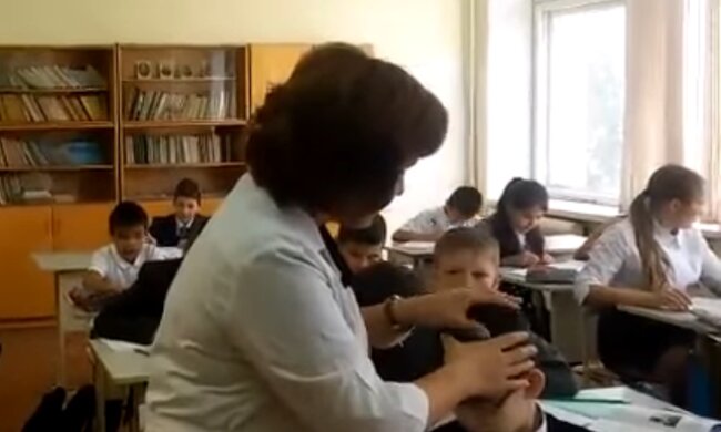 Проверка на педикулез, иллюстрационное фото