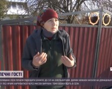 На Хмельниччині моторошні тварюки тримають в страху цілі села: бояться навіть дихати