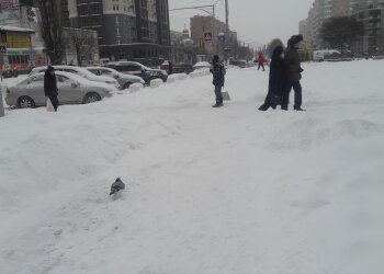 Зима, мороз - фото Знай.ua