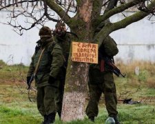 "Кроты-мутанты" атакуют крымчан