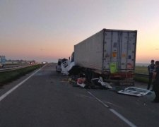 Недавно родила: появились шокирующие подробности ДТП на Николаевщине