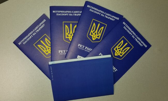 В Україні з'явиться новий вид паспортів: почнуть видавати восени