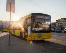 У Києві зухвалий "автобусник" обматюкав пасажирів і висадив на дорозі: "Водій цього автобуса - тварина"