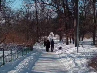 Украинцы, зима, кадр из видео