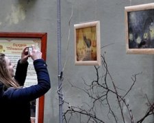 У Львові з'явились "дивні істоти" (фото)