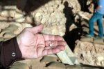 Французькі археологи знайшли людський зуб, якому півмільйона років