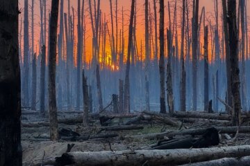 Держекоінспекція показала плачевну ситуацію у Донецькій області: руйнуються міста, промислові об’єкти та природні ландшафти