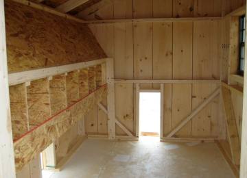 Курятник, кадр из видео