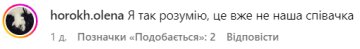 Коментар зі сторінки Насті Каменських. Фото: скриншот з Instagram