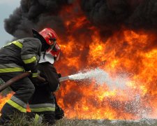 Сгорела крупная птицеферма: сотни тысяч цыплят превратились в угольки