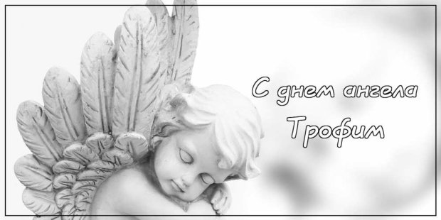 с днем рождения трофимка. Смотреть фото с днем рождения трофимка. Смотреть картинку с днем рождения трофимка. Картинка про с днем рождения трофимка. Фото с днем рождения трофимка