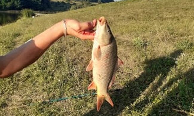 Маленькая рыбачка из Днепра заставила взрослых ахнуть от зависти – такой улов им и не снился