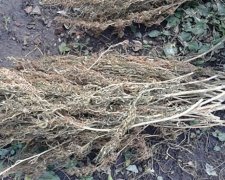 На Сумщині вилучили велику партію наркотиків (фото)