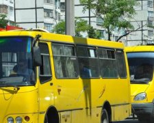 Слишком дешево: украинские маршрутчики объявили бойкот 