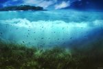 Ученые отыскали первобытное море