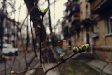 Погода в Україні, фото: Znaj.ua