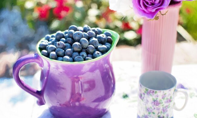 Вітаміни, фото pxhere