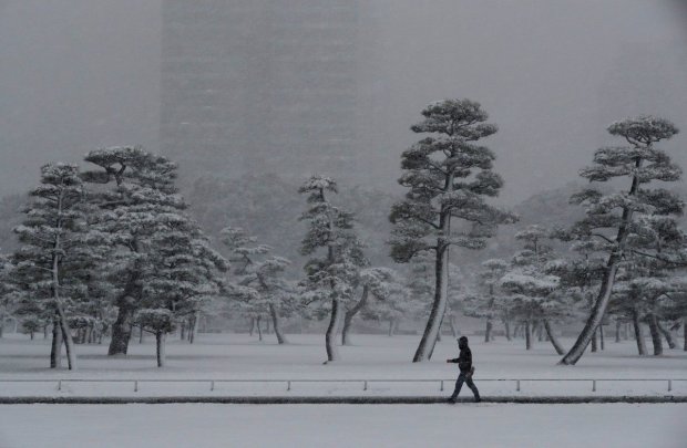Прогноз погоды на неделю: украинцев засыплет снегом серьезно и надолго, но кое-кому повезет
