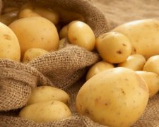 Дивовижні факти про картоплю, які варто знати