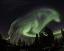 Ваша собака будет лаять северным сиянием