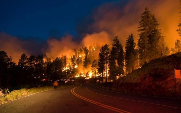 Луганщина в огне: спасатели ликвидируют масштабный лесной пожар