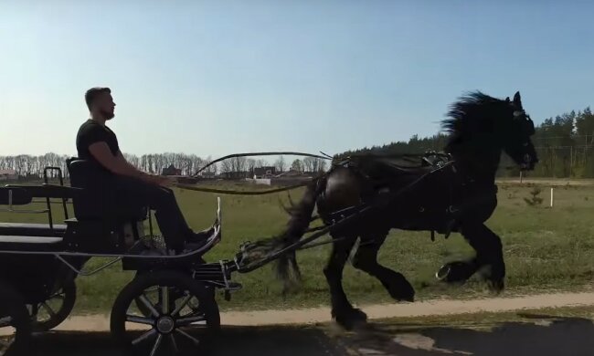 конная телега, скриншот из видео