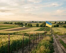 земельні паї поле сільськогосподарська земля