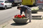 В Днепре бабульки решили подзаработать, ограбив соседей - цветочная афера накрылась медным тазом