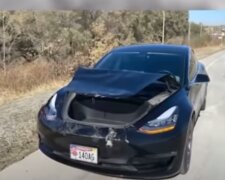 Tesla Model 3, скриншот