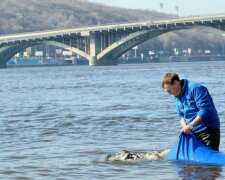 Экологи бьют тревогу: в Украине рыбу можно будет увидеть только в зоопарках