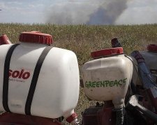 Кубанські казаки саботували роботу "Грінпіс" (фото)