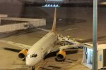 У Києві приземлився літак з евакуйованими з Уханя українцями, - "всі в костюмах спецзахисту"