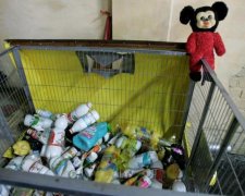 Уже в Европе: у Гройсмана вывели сортировку мусора на новый уровень