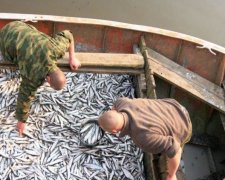 Лайфхак по-російськи: як виловити тонни риби за мить