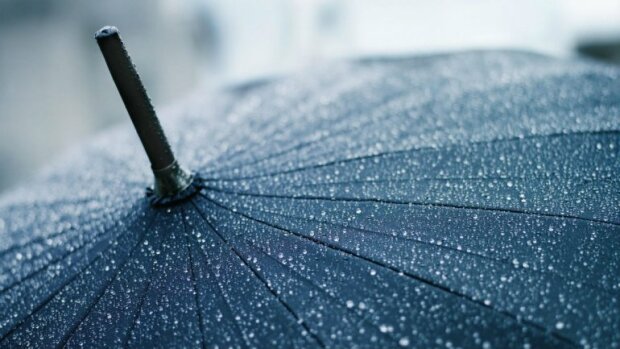 Запорожье превратится в город тысяч мокрых зонтов 14 декабря