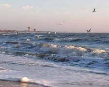 Курорти Приазов'я опинилися під загрозою холери