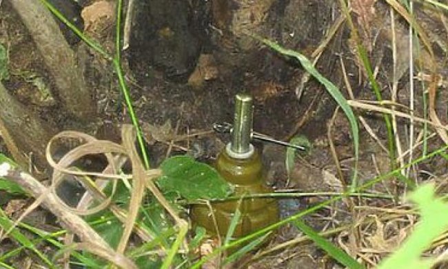 У Станиці Луганській на розтяжці підірвалася жінка