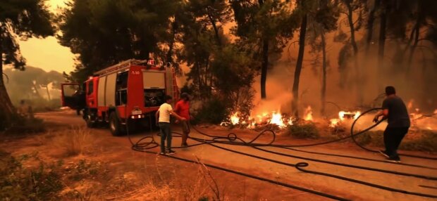 Пожары в Греции, фото: скриншот из видео