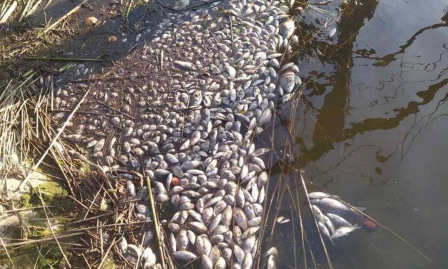 загибель риби