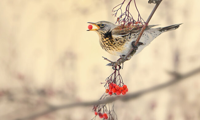 Какой праздник 23 сентября: чего нельзя делать в этот день