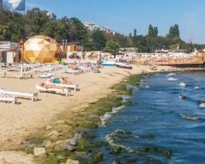 All inclusive в Одессе: родные курорты испортили отпуск тысячам украинцев