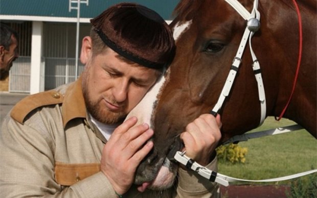 Лошади Кадырова поседели из-за санкций